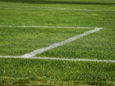Snapshot of Green turf field
