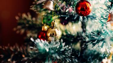 Snip of Christmas tree decoration