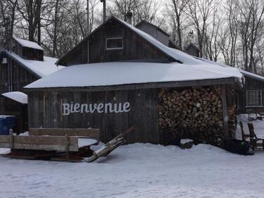 Old cabin in woods, Bienvenue