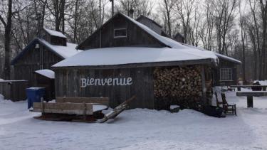 Carnaval Old cabin in woods, Bienvenue