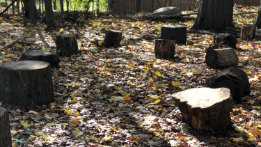 Outdoor Classroom Outdoor Classroom