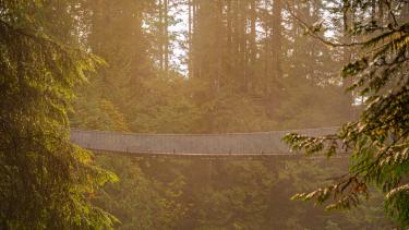 iStock - Capilano Suspension Bridge Sunrise light at the famous Capilano Suspension Bridge Park on a foggy morning, suspended walking bridge in middle of forest, North Vancouver, British Columbia, Canada.