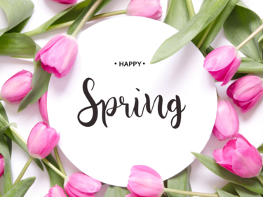 Happy Spring with pink tulips