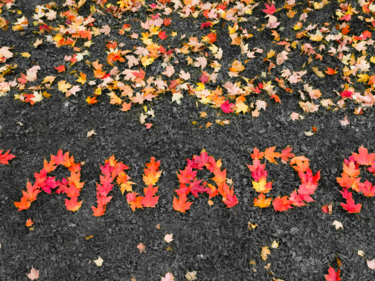 Canada spelled out with fallen fall leaves