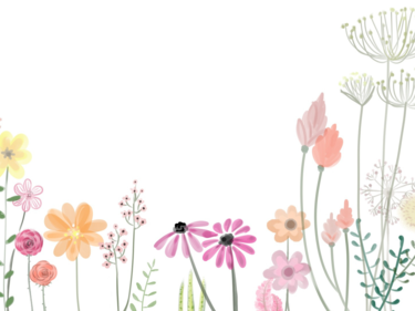 Wild Flowers in colour cartoon like