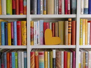 Library shelves filled with assorted books