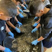 Elementary Students Gold Panning 
